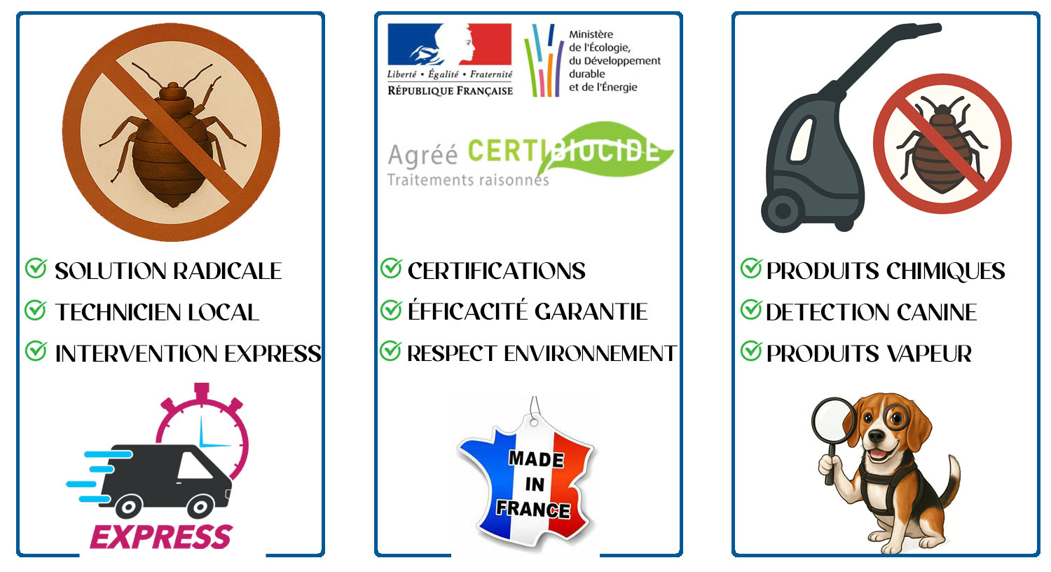 Punaises de Lit Villejuif